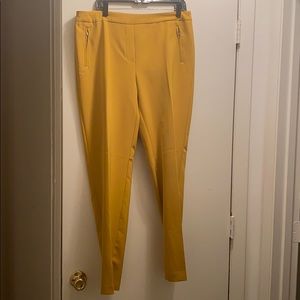 Yellow/ Gold Dress Pants. Never Worn.